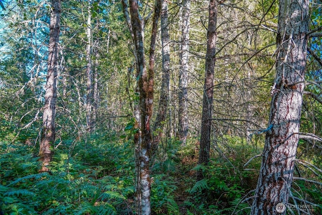 0 N Silver Ln S, Hoodsport, WA 98548 - photo 4