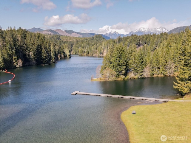 0 N Silver Ln S, Hoodsport, WA 98548 - photo 7