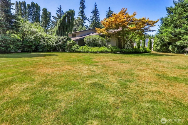 8 143rd St SW, Lynnwood, WA 98087 - photo 4