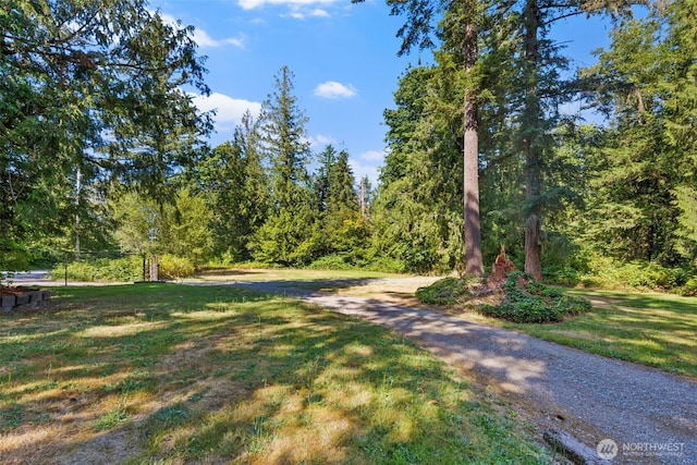 36226 Veazie Cumberland Rd SE, Enumclaw, WA 98022 - photo 37