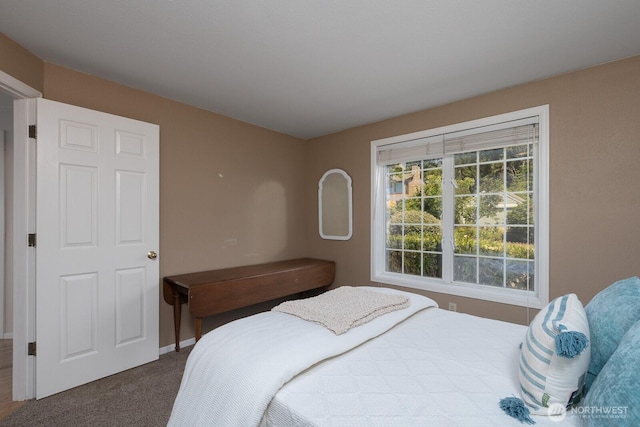 3148 Tahoma Pl W, University Place, WA 98466 - photo 10
