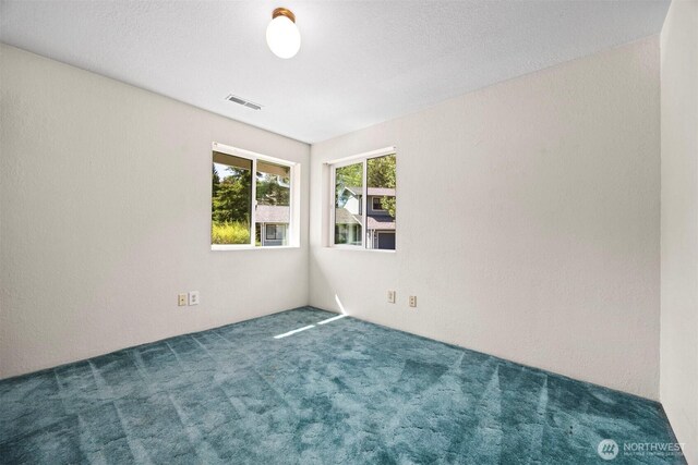 2315 Fir St, Bellingham, WA 98229 - photo 23