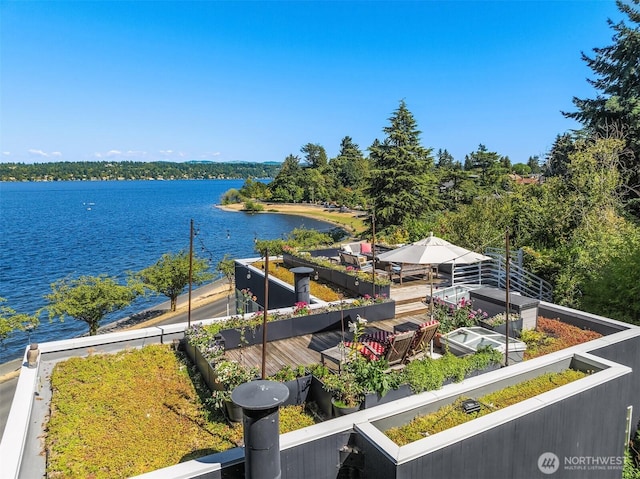 3903 48th Ave S, Seattle, WA 98118 - photo 29