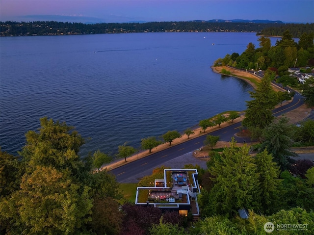3903 48th Ave S, Seattle, WA 98118 - photo 38