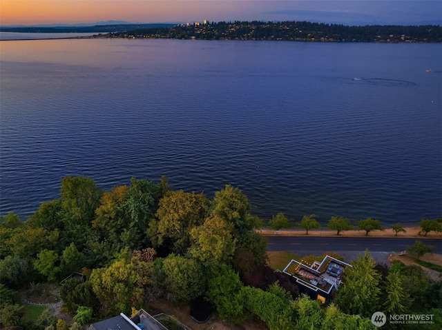 3903 48th Ave S, Seattle, WA 98118 - photo 39