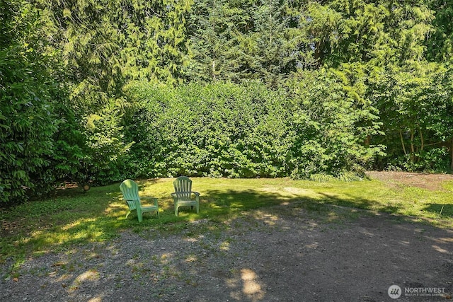 44641 SE 71st St, Snoqualmie, WA 98065 - photo 3