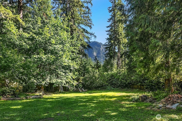 44641 SE 71st St, Snoqualmie, WA 98065 - photo 6