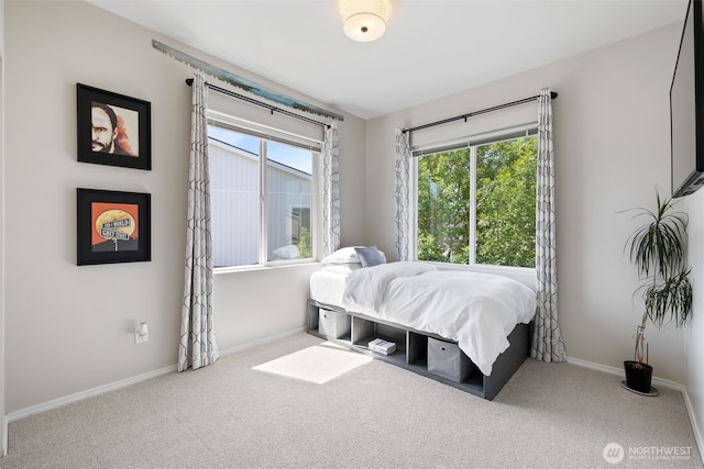 14915 38th Dr SE Unit U1153, Bothell, WA 98012 - photo 37