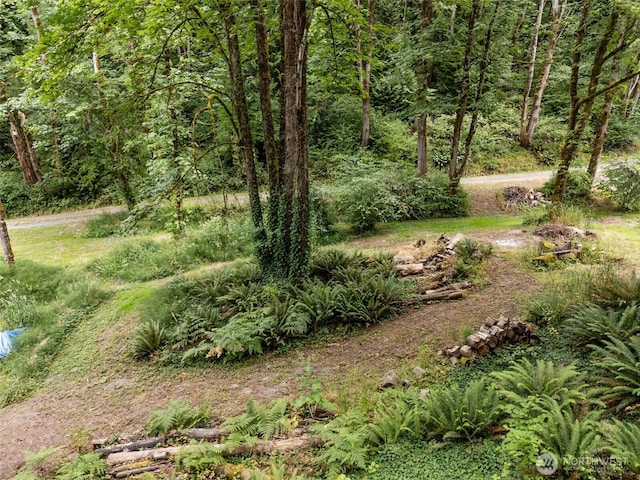 15350 SE May Valley Rd, Renton, WA 98059 - photo 32