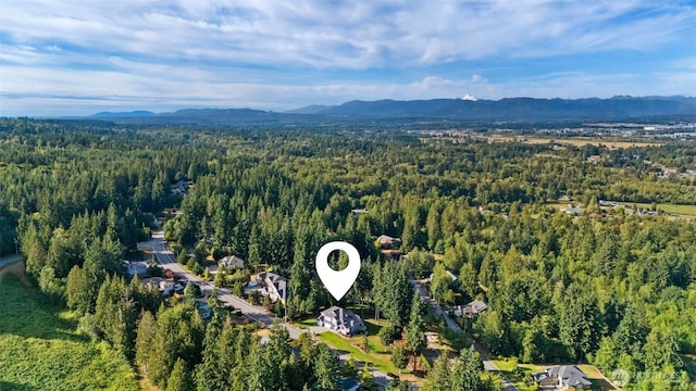 12217 3rd Ave NE, Tulalip, WA 98271 - photo 40