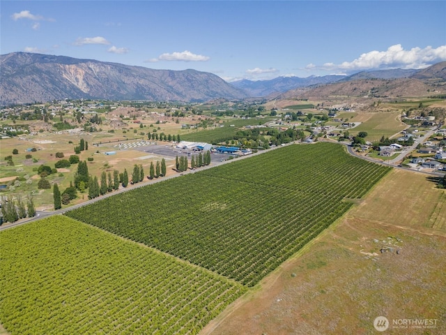 500 Wapato Lake Rd, Manson, WA 98831 - photo 8
