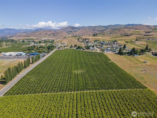 500 Wapato Lake Rd, Manson, WA 98831 - photo 10