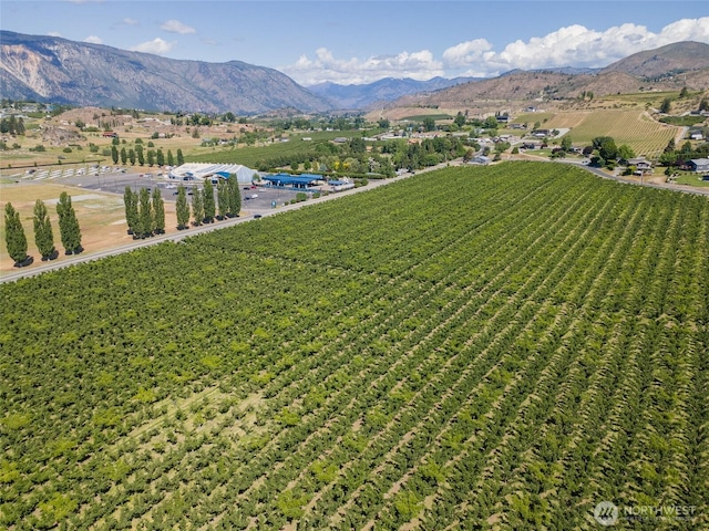 500 Wapato Lake Rd, Manson, WA 98831 - photo 14