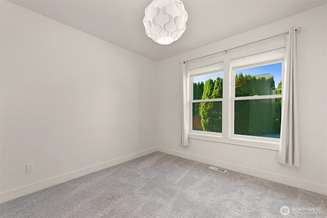 853 Captain Bay Ct, Lynden, WA 98264 - photo 21
