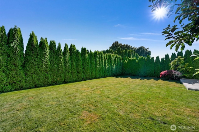 853 Captain Bay Ct, Lynden, WA 98264 - photo 39