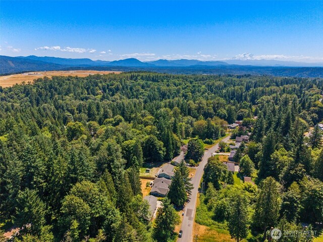 14804 206th Ave SE, Renton, WA 98059 - photo 28