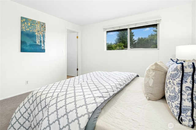 4432 S Kenyon St, Seattle, WA 98118 - photo 20