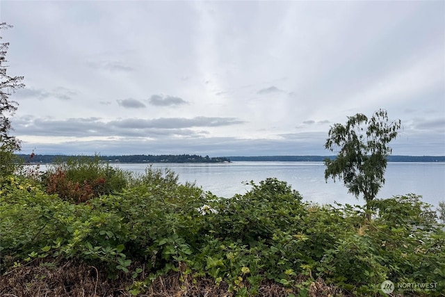8215 176th Avenue Ct SW, Longbranch, WA 98351 - photo 29