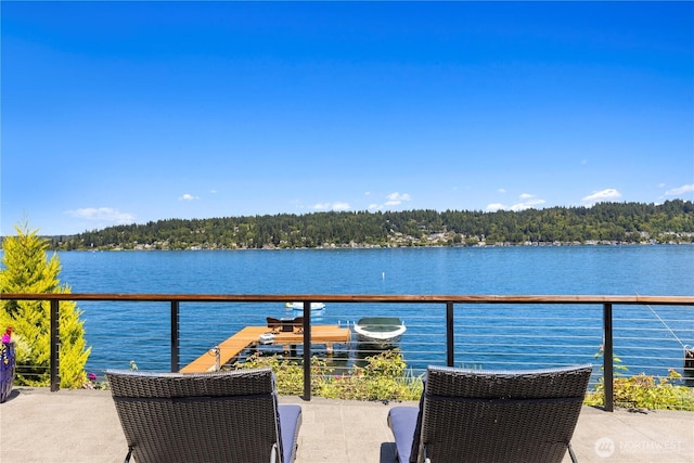 18176 SE 41st Pl, Issaquah, WA 98027 - photo 29