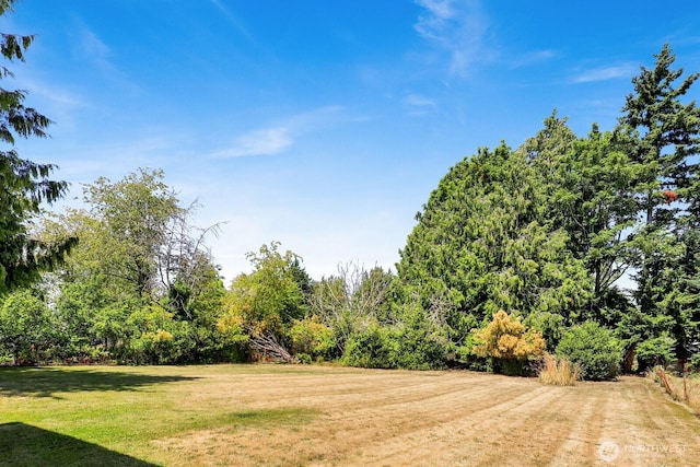 1200 W Oregon St, Bellingham, WA 98225 - photo 30