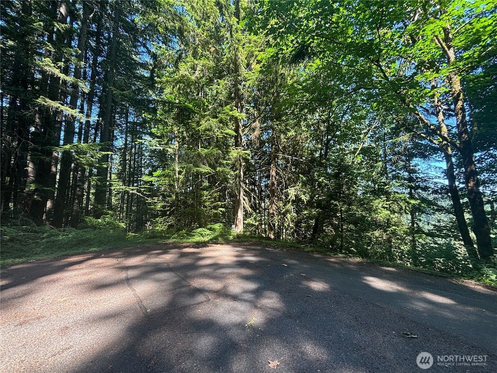 21 Clematis Ln, Bellingham, WA 98229 - photo 2