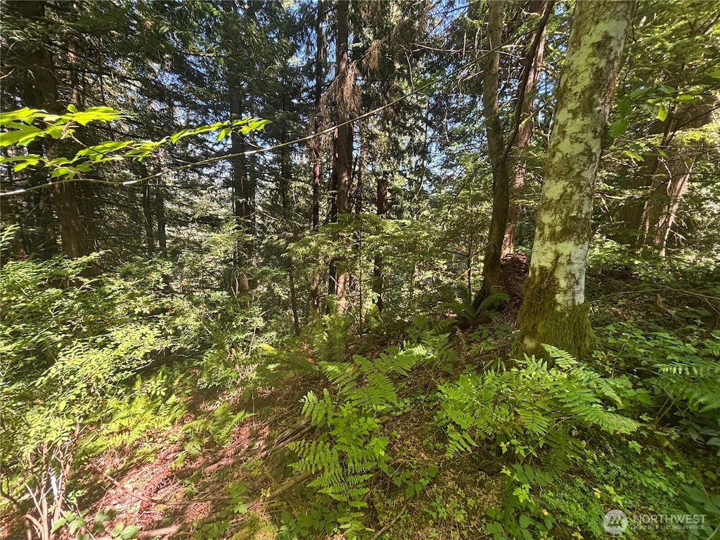 21 Clematis Ln, Bellingham, WA 98229 - photo 4