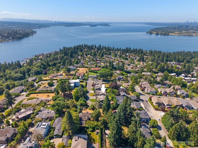 8226 NE 117th St, Kirkland, WA 98034 - photo 40