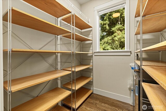 8226 NE 117th St, Kirkland, WA 98034 - photo 17