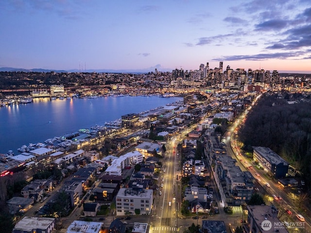 2009A Dexter Ave N, Seattle, WA 98109 - photo 1