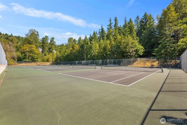 4706 Mill Pond Dr SE Unit 1302, Auburn, WA 98092 - photo 29