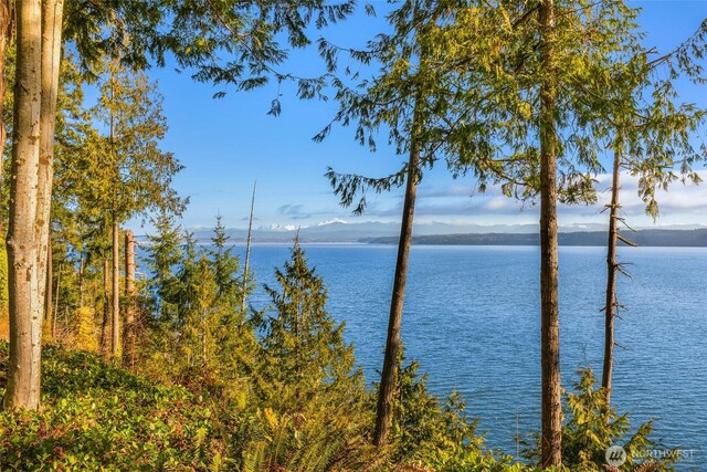 2527 Bretland Rd, Camano Island, WA 98282 - photo 35