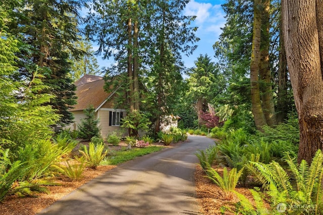 2527 Bretland Rd, Camano Island, WA 98282 - photo 37