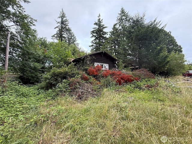 34719 NW Pacific Hwy, La Center, WA 98629 - photo 2