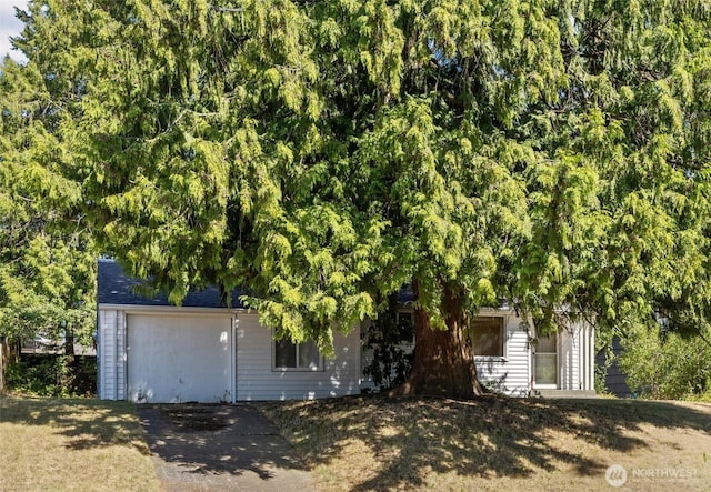 17030 14th Ave NE, Shoreline, WA 98155 - photo 3