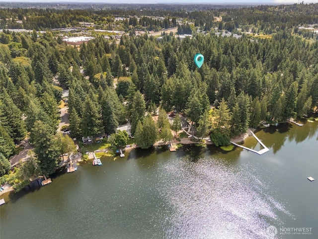 1716 Camden Park Dr SW, Olympia, WA 98512 - photo 35