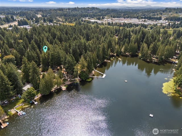 1716 Camden Park Dr SW, Olympia, WA 98512 - photo 1
