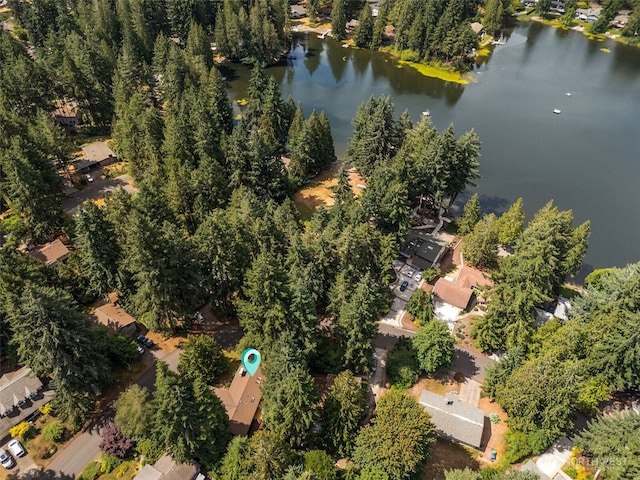 1716 Camden Park Dr SW, Olympia, WA 98512 - photo 6