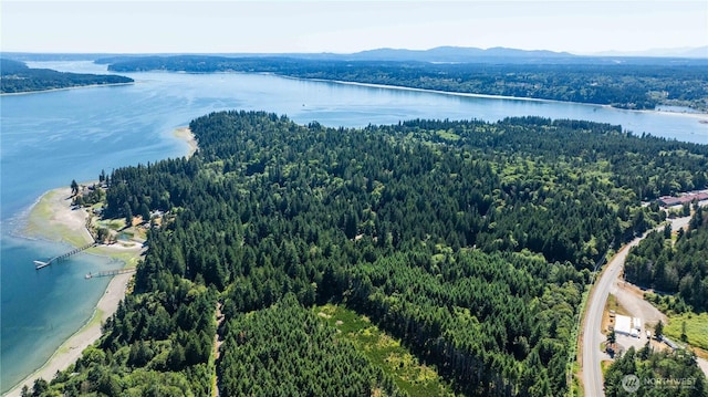 15311 Sandy Hook Rd NE, Poulsbo, WA 98370 - photo 24