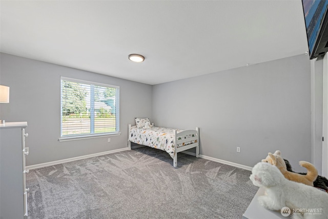 15604 43rd Avenue Ct E, Tacoma, WA 98446 - photo 26