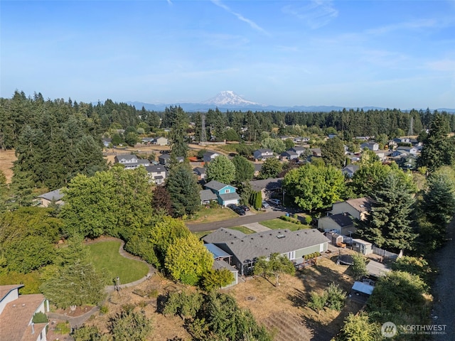15604 43rd Avenue Ct E, Tacoma, WA 98446 - photo 38
