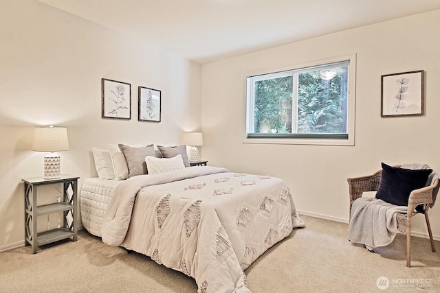 1098 Cedar Cir, Langley, WA 98260 - photo 22