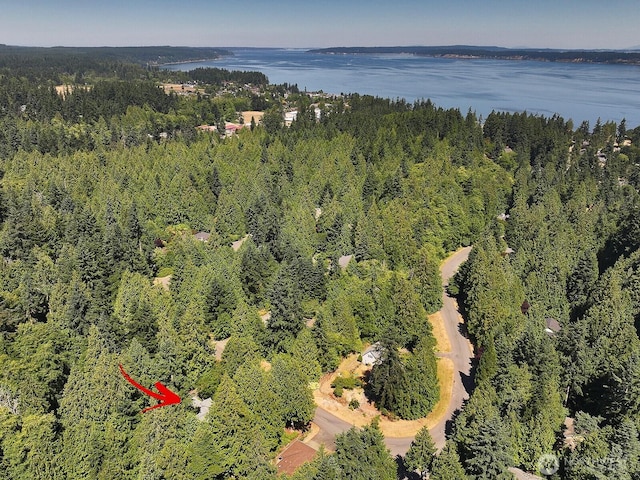 1098 Cedar Cir, Langley, WA 98260 - photo 33