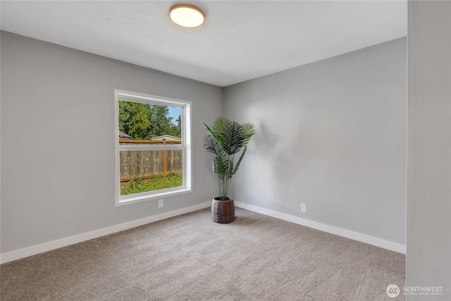 13018 225th Ave E, Bonney Lake, WA 98391 - photo 5