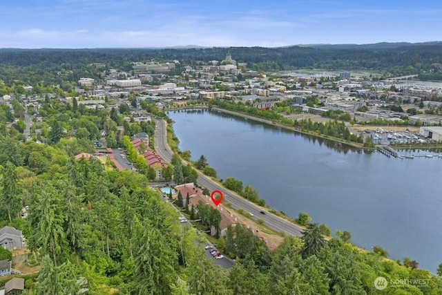 920 E Bay Dr NE Unit 3C302, Olympia, WA 98506 - photo 1