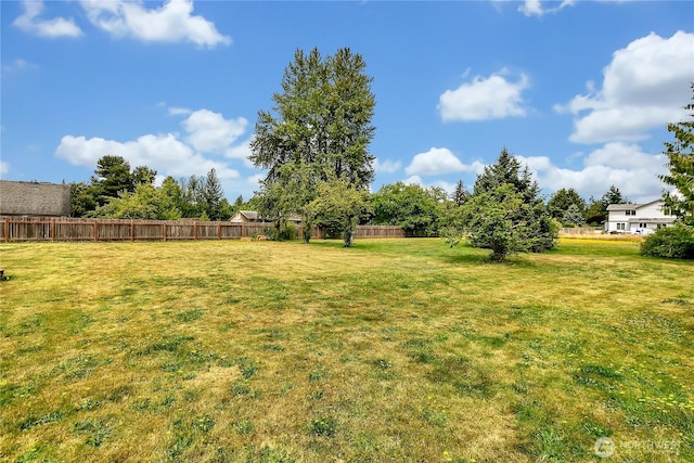 205 123rd St E, Tacoma, WA 98445 - photo 31