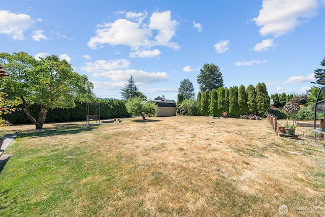 808 17th St SE, Puyallup, WA 98372 - photo 4
