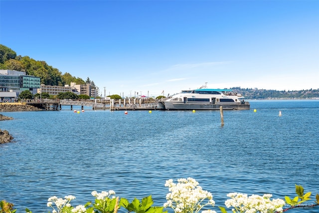 1706 Alki Ave SW Unit B, Seattle, WA 98116 - photo 23