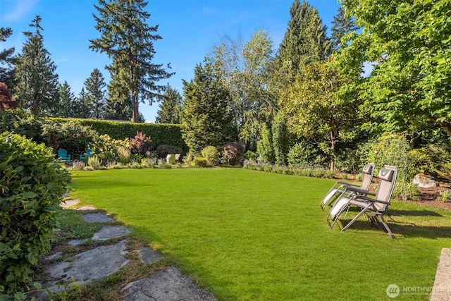 21647 SE 33rd Pl, Sammamish, WA 98075 - photo 19