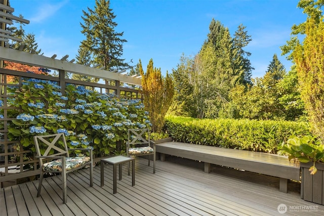 21647 SE 33rd Pl, Sammamish, WA 98075 - photo 29