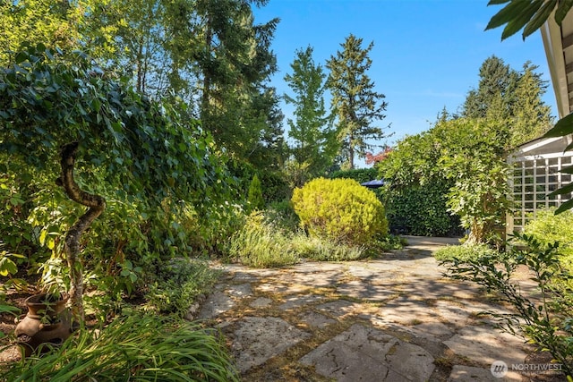 21647 SE 33rd Pl, Sammamish, WA 98075 - photo 33